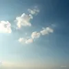 d.w6v0