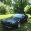 mustangguywithacamaro