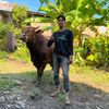 appa7ujuhfarm