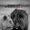 user1126343420294