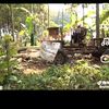 aripingraji_kayu
