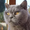 susan.hammond4
