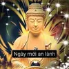 bvnd48