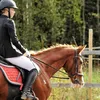 team_kauramoottori
