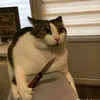 dont_talk_to_me258