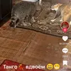 user1779212202244