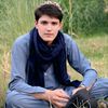 wahid.karwan843