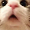 fiksi.rb