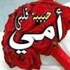 user77157530185051