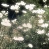 _.cloudy._37