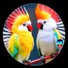 phong.vu.84