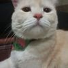 user6005116127030