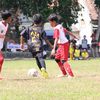 didar_ger7