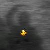 eda_oktay49
