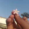 somabaruaudip