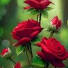 thamiyajahan8