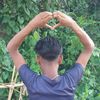 user6200228875159