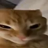 unknownxdxxd