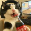 mariiiiaaaaaaaa4