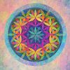 doaa.sadek63