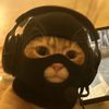 meow.city.com