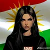 y4ara22