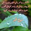 user9068577943090