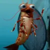 raddyci