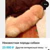 godzilla_leg