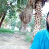 saleh213780