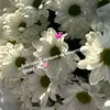 i_m_a_n001