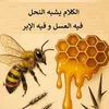 user4384269781488