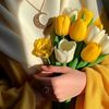 ahelam572
