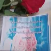 user4853407905106