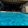 cesar_cg_24