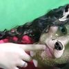 lau3237
