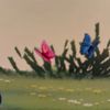 butterfly.mom8