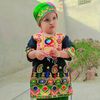 amir.shahzad202