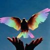 freebird4u2c
