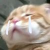 KKིྀ