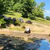 larsen.utv.park