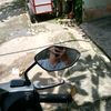 hh.ank