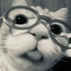 ameer.abdulal