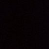 el_mas_polludo