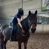 eq.3nora