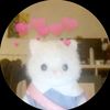 scookies_1