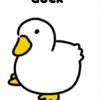 duck31542