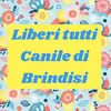 liberitutti.brindi