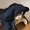lapingirlfriend