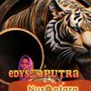 edy.saputra4540